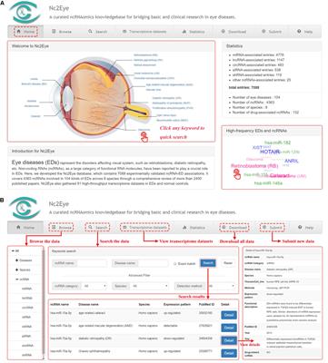 Nc2Eye: A Curated ncRNAomics Knowledgebase for Bridging Basic and Clinical Research in Eye Diseases